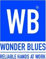 Wonder Blues